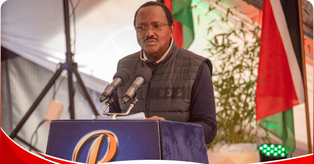 Wiper Leader Kalonzo Musyoka (pictured above) has accused President Ruto over failure to implement NADCO report.