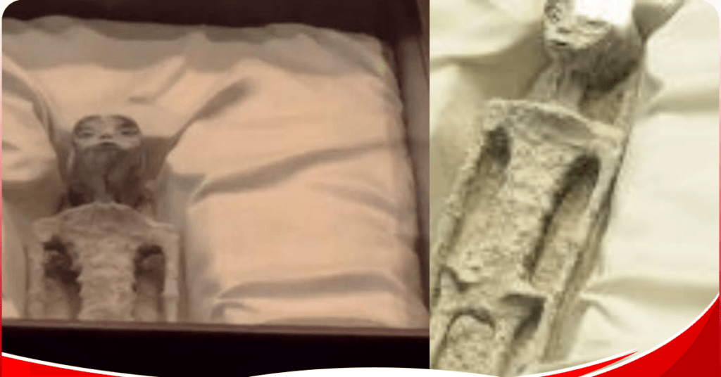Researcher shows bodies of purported “non-human” beings (UFOs) during congress hearing