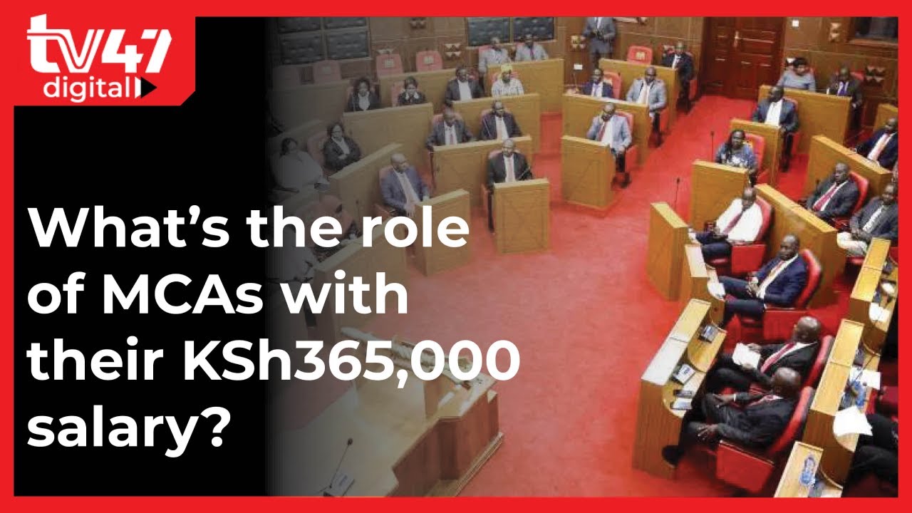 MEMBERS OF THE COUNTY ASSEMBLY visual data 8