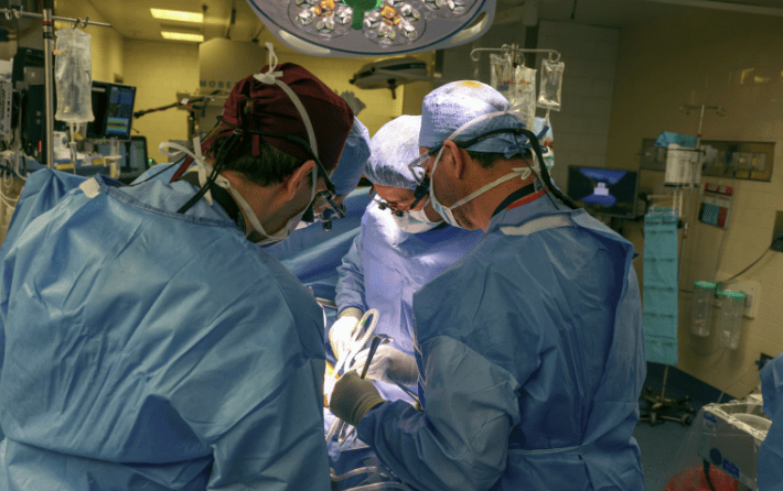 History as surgeons successfully transplant a pig kidney into a man