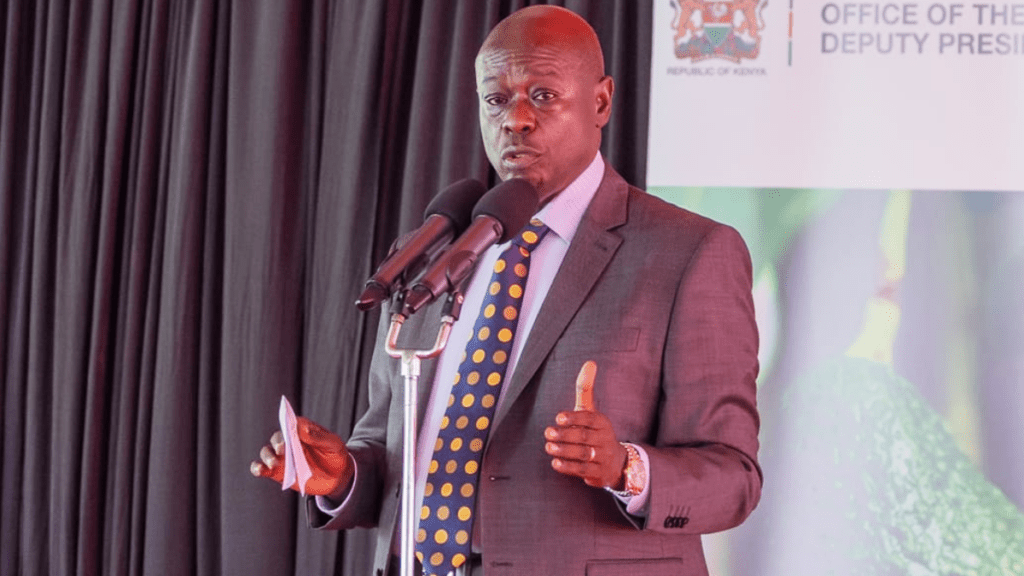 Gachagua to meet CSs Njuguna, Linturi to review Finance Act after uproar from Avocado farmers