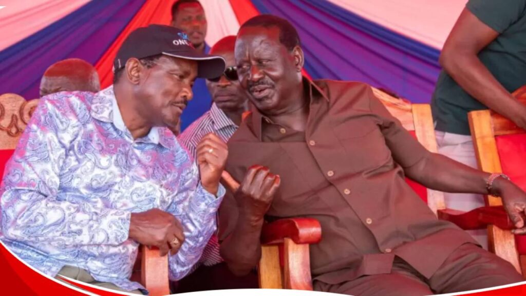 Kalonzo is most suitable to take over from Raila