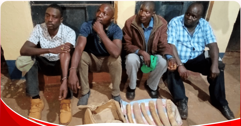 Four arrest over possession of Ivory worth 22 Million