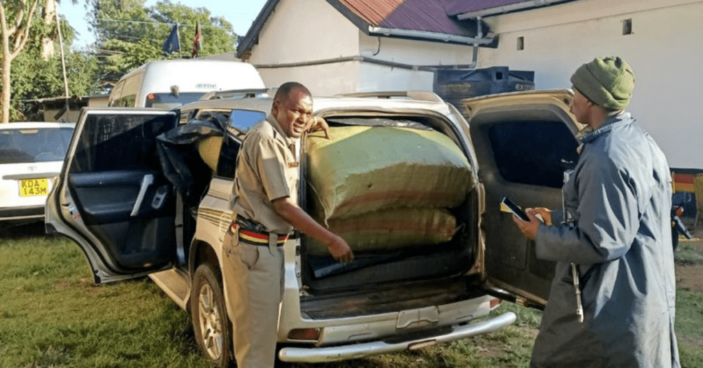 Police officers displaying the impounded six sacks of bhang in a Land Cruiser Prado at Isebania Police Station on March 18, 2024. Photo: DCI