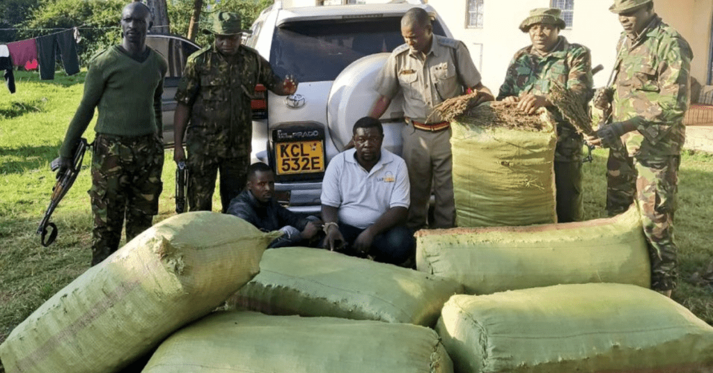 Police officers displaying the impounded six sacks of bhang and two suspects who were arrested on March 18, 2024. Photo: DCI