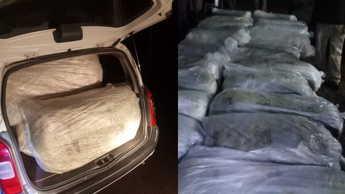 A section of sacks of bhang seized from four vehicles on April 23, 2024 along the Migori -Kisii highway. Photo/NPS