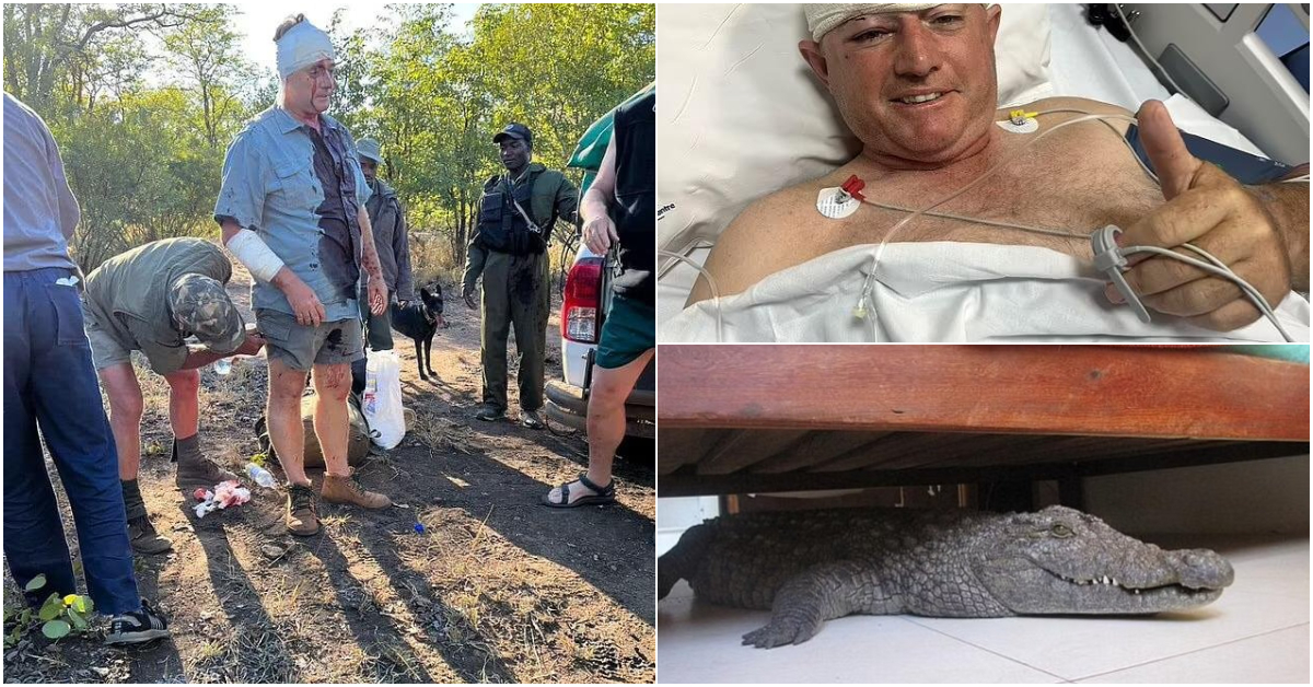 Former cricketer attacked by leopard and saved by his loyal dog… years after finding 8-foot crocodile underneath his bed