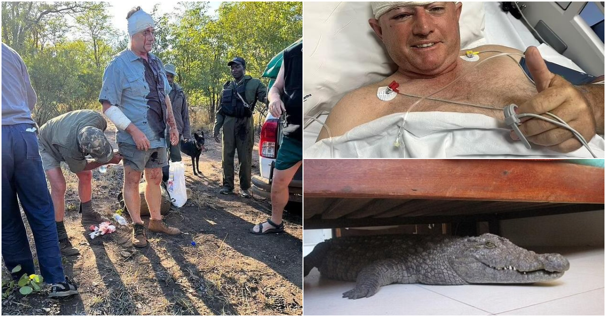 Guy Whittall survives leopard attack