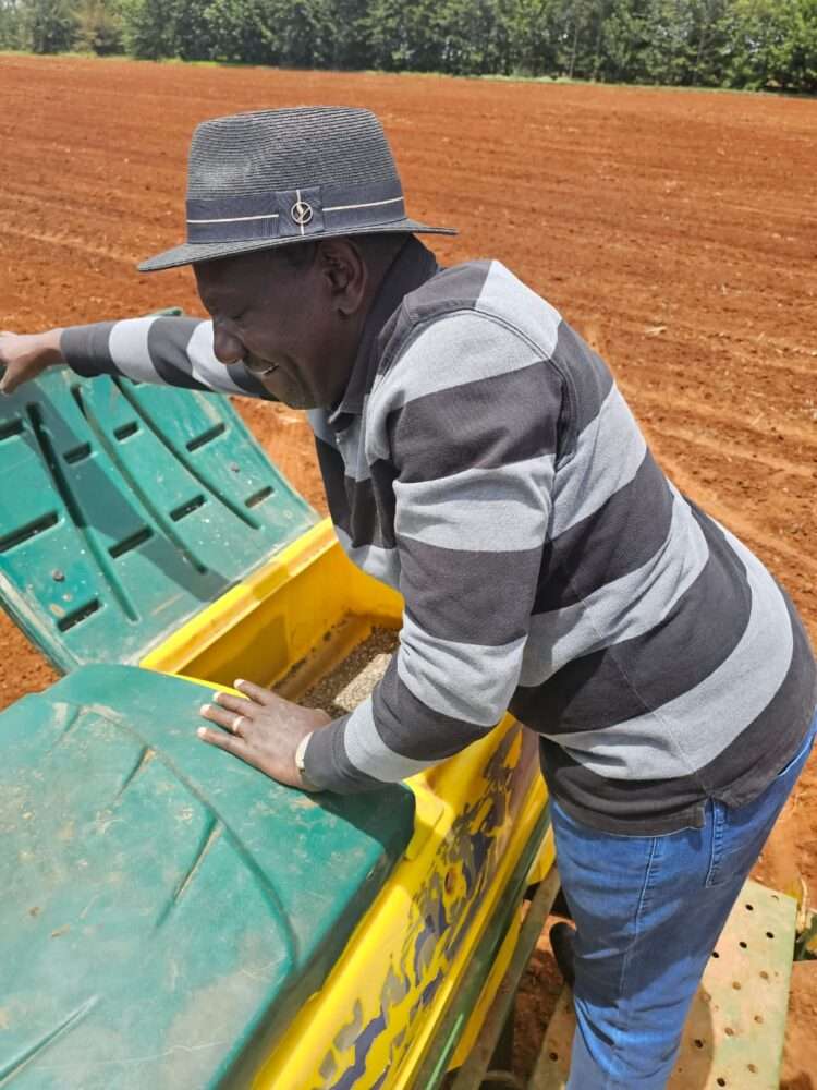 Photos: President Ruto at his Koelel Farm in Uasin Gishu