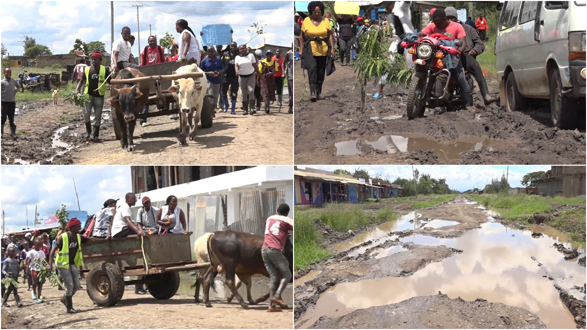 Juja: Mukuyuini, Athi residents now using mkokoteni as means of transport