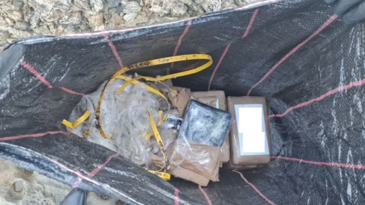 Five cocaine parcels worth KSh118M found by beachgoers washed up in Sydney beaches