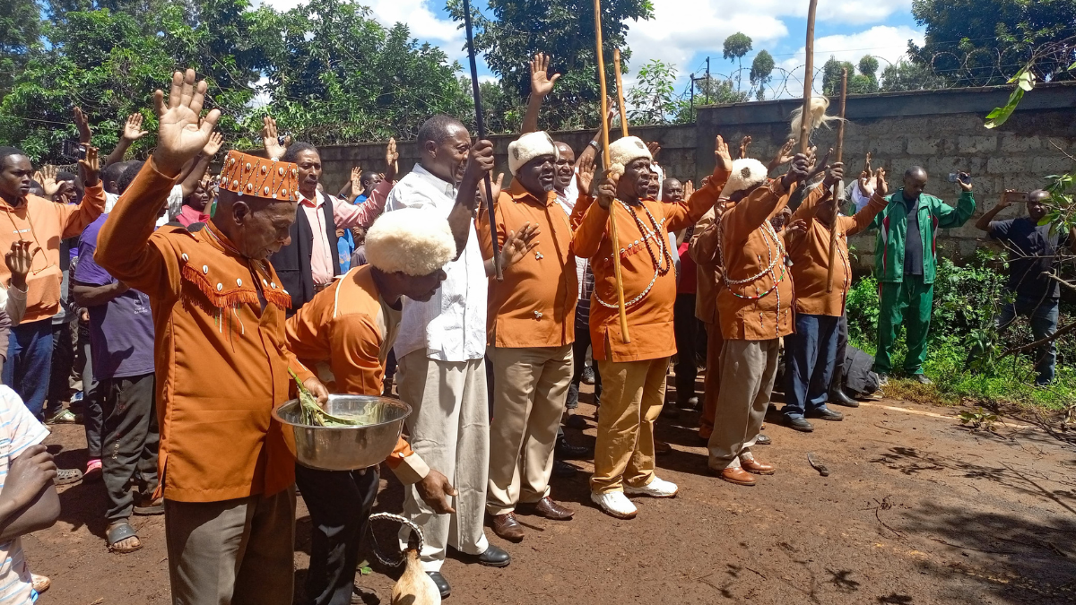 Elders perform rituals after Mugumo tree falls, blocks road in Kiambu
