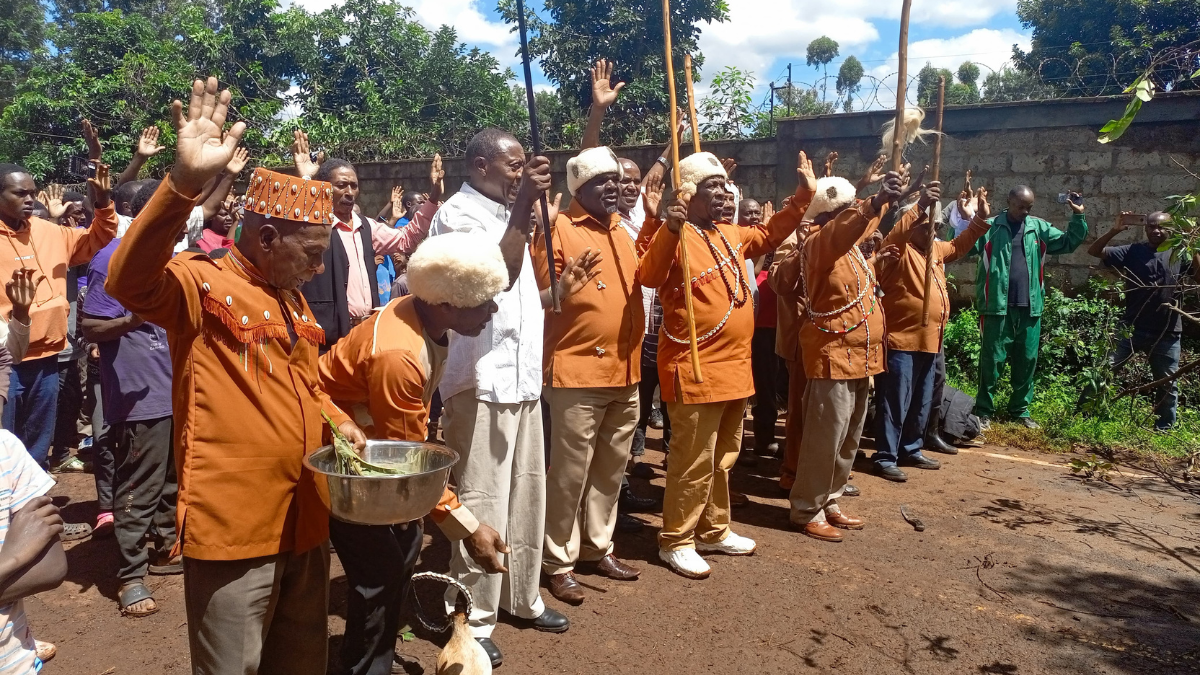 Kikuyu elders perform rituals after mugumo tree fell in Kiambu on April 16, 2024. Photo/TV47