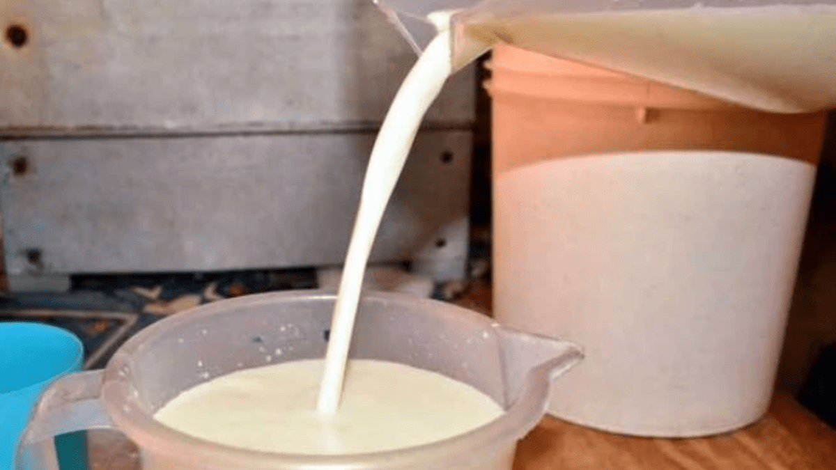 40 people hospitalised after consuming contaminated milk in Elgeyo Markwet