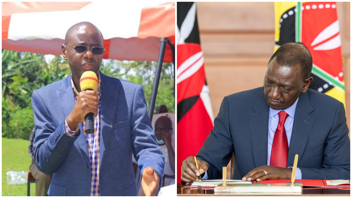 President Ruto appoints former MP as diplomat despite rejecting offer