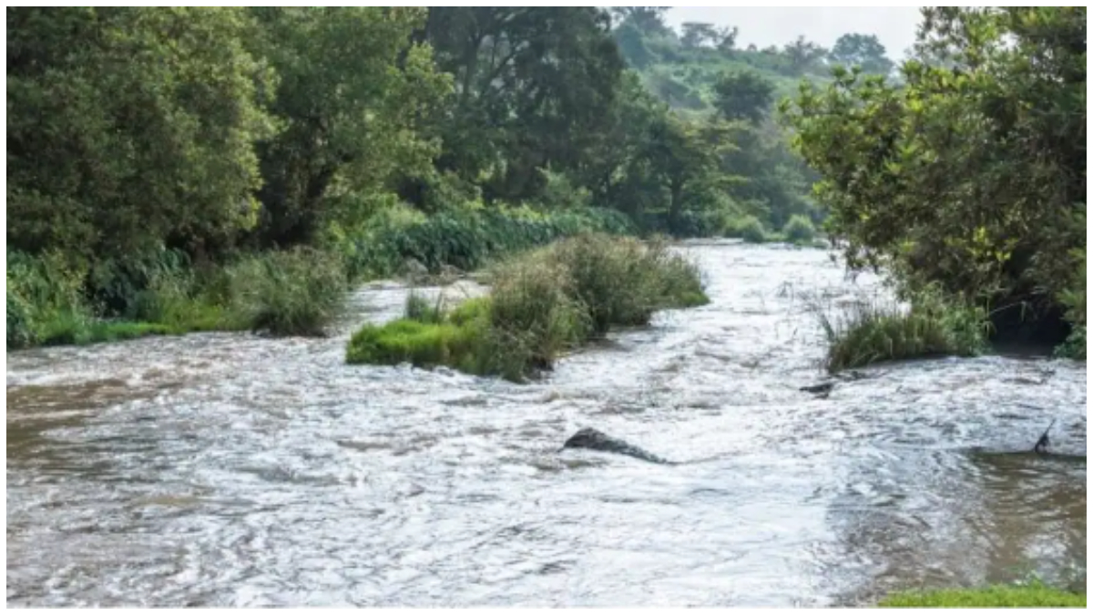 Kirinyaga: Body of woman who jumped into a river with her child recovered