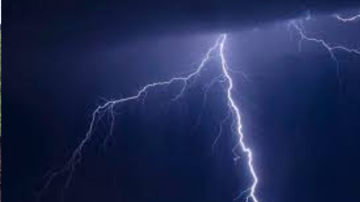 7 students killed, 82 injured as lightning strikes school in Tanzania