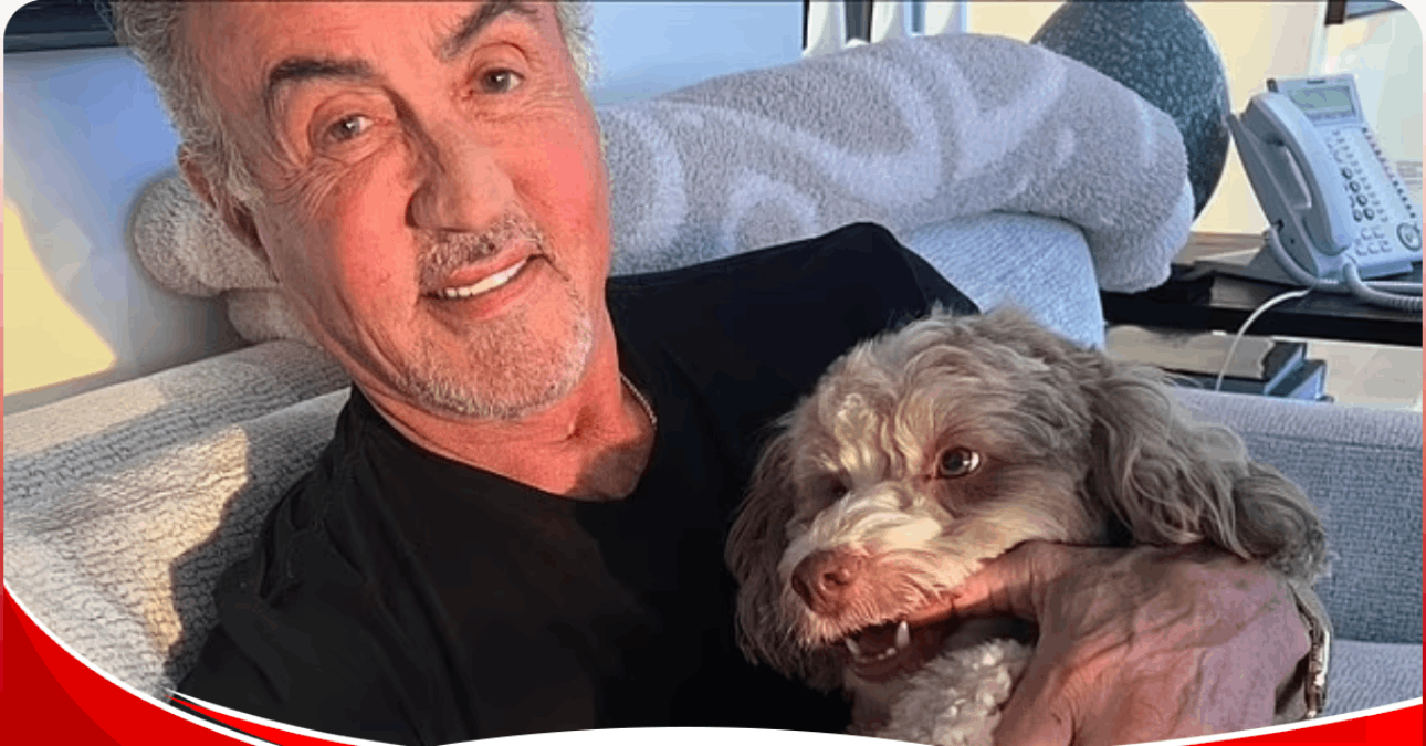 Arnold Schwarzenegger celebrates Sylvester Stallone’s 78th birthday