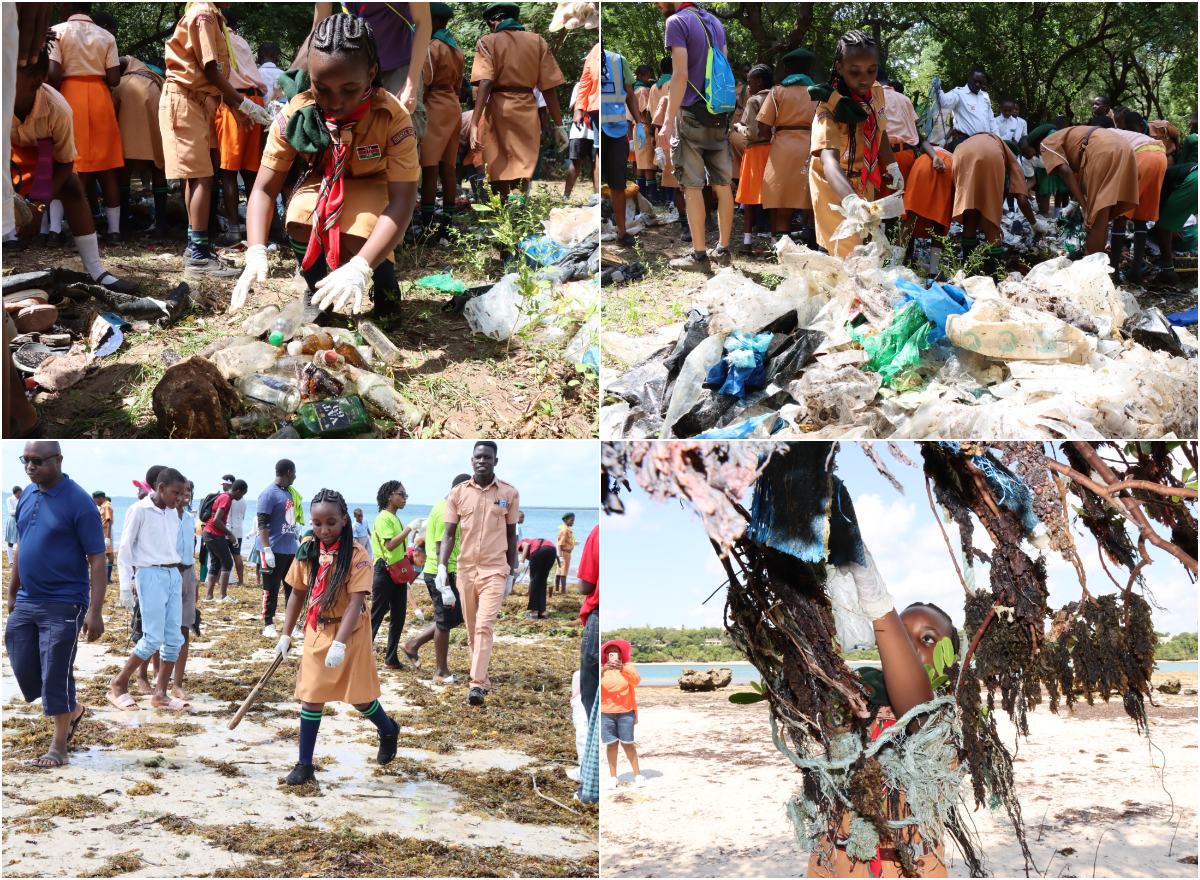 Conservationists warn against dangers of plastic pollution along the Coast-line  