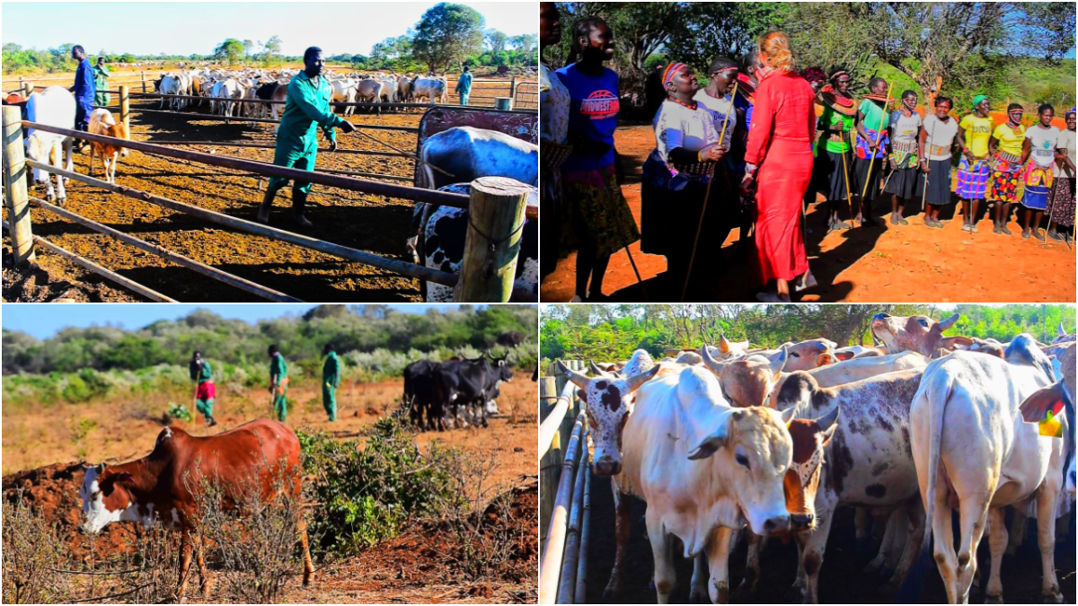 Against all odds: The beauty of Mukutan Conservancy, formerly Laikipia Nature Conservancy