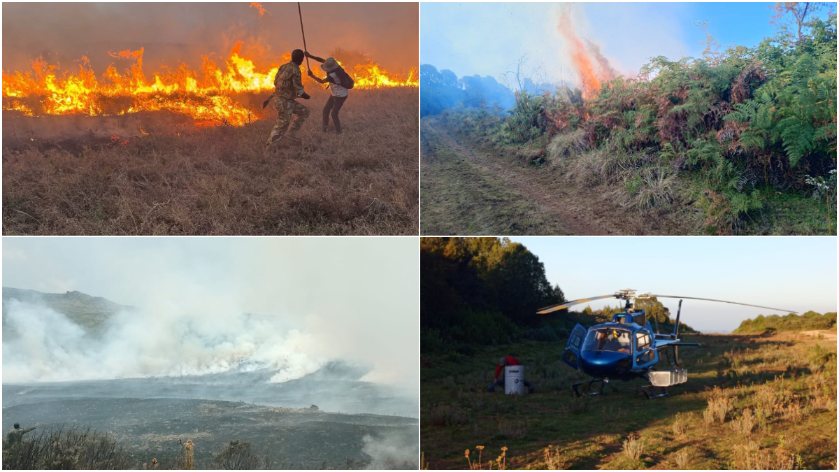 Government responds after fire outbreak at Nairobi National Park