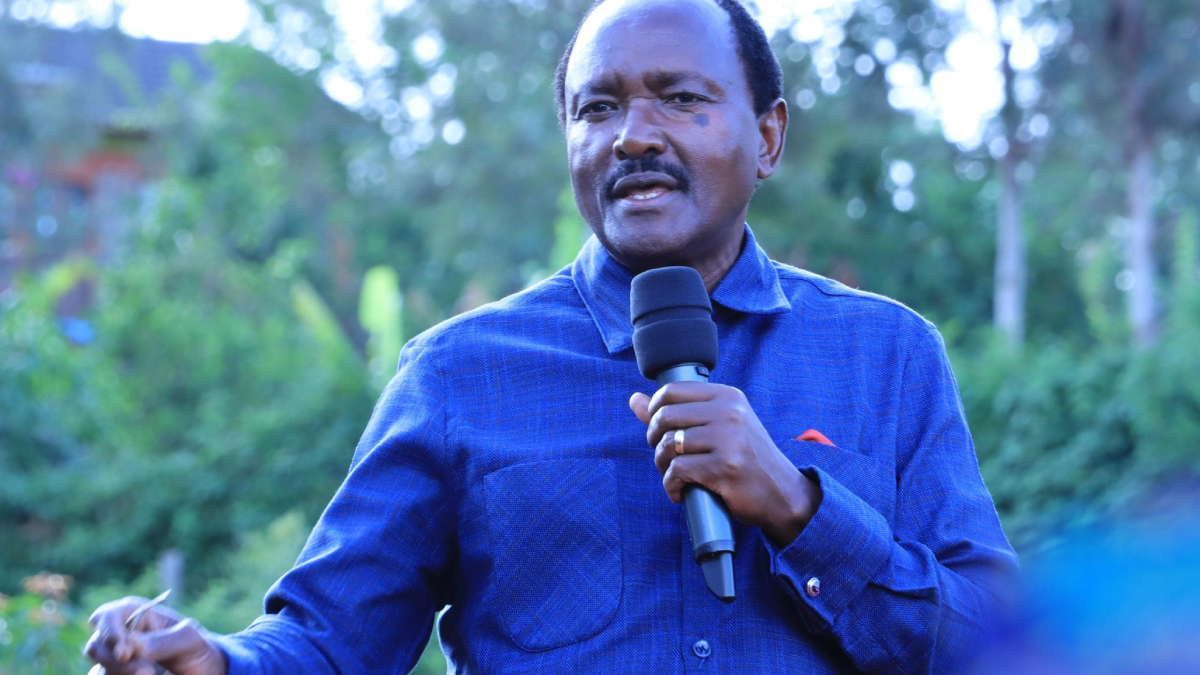 Inside Kalonzo’s letter to Raila, Ruto: Calls for talks with opposition on new IEBC
