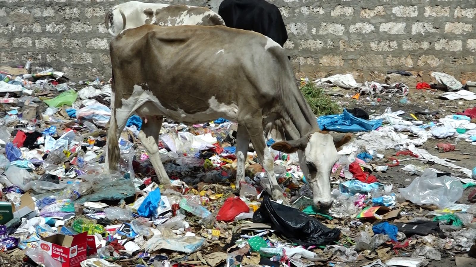 German conservationist calls for action against recklessly dumping of waste in Malindi