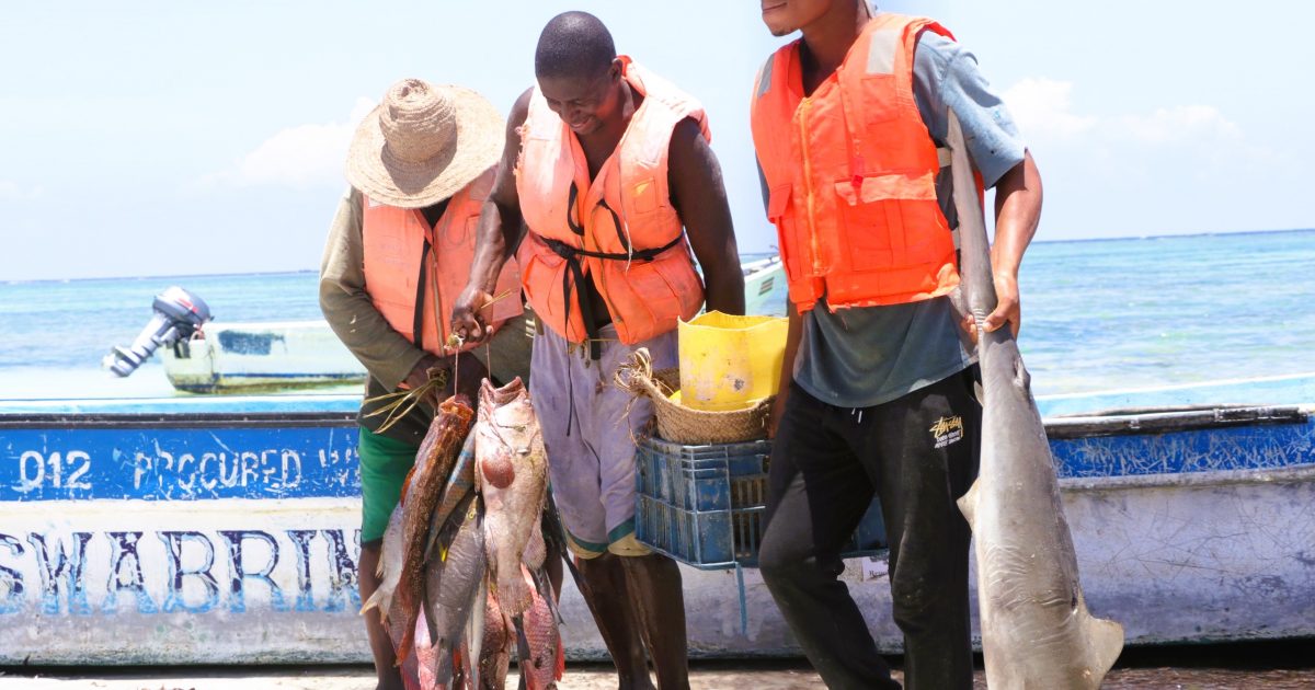 Kwale eyes Blue Economy to boost livelihoods through modern fishing