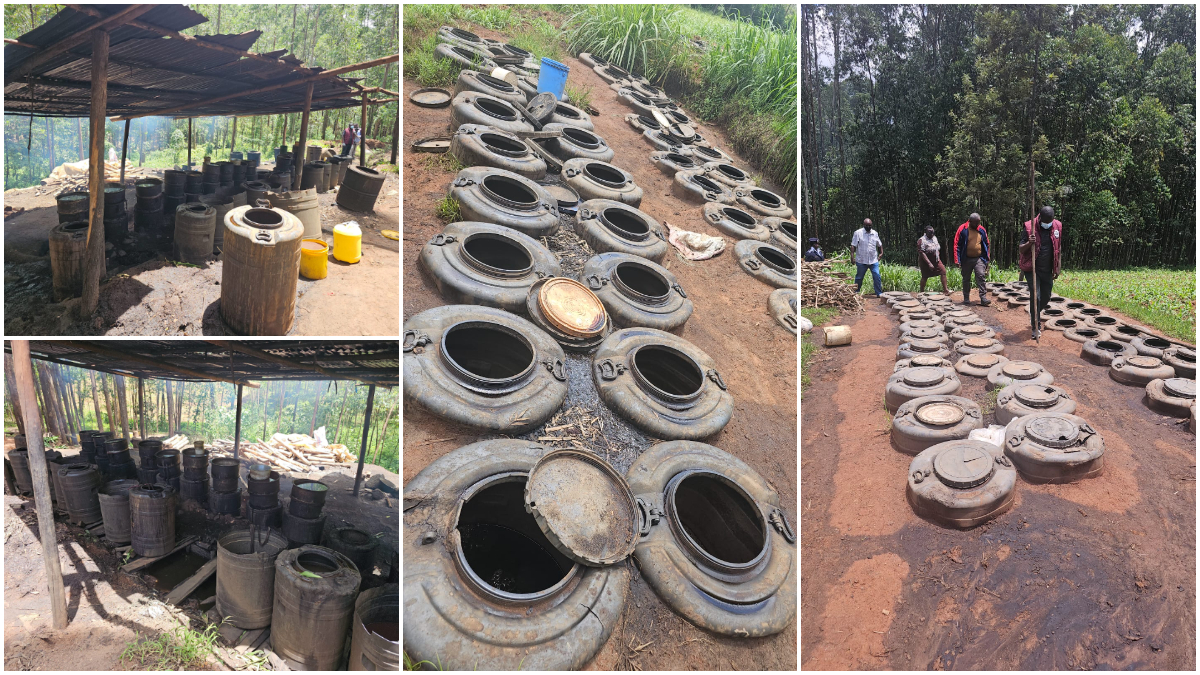 Kisii: 5 arrested, over 55,000 litres of kangara and 500 litres of chang’aa seized in NACADA operation