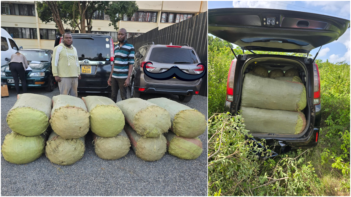 Two arrested as police chase Toyota Noah ferrying 10 sacks of bhang valued at KSh7.5M from Lari to Machakos