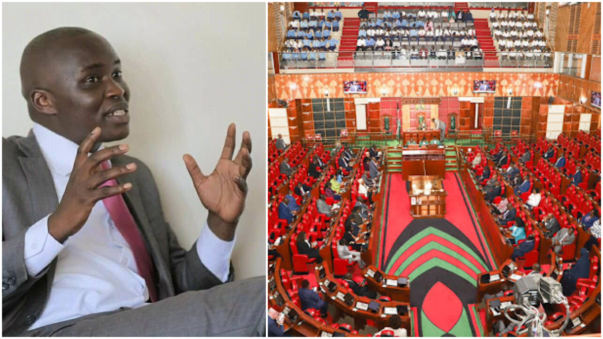 MP calls for introduction of Health Promotion Levy to regulation soft drink manufacture and importation standards