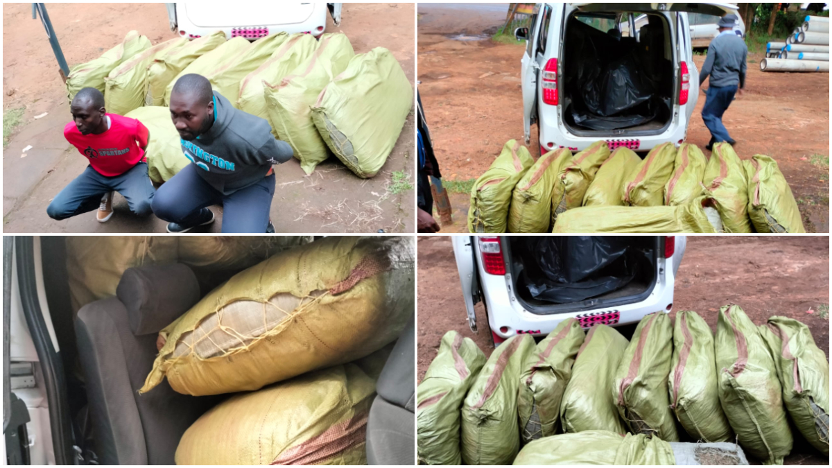 A Toyota Noah with 9 sacks of bhang, two brothers both aged 37: The dramatic arrest along Maai Mahiu-Nairobi Road