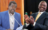 Drama as Senator Omtatah ejected from Senate for making ‘unparliamentary’ remarks on Ruto