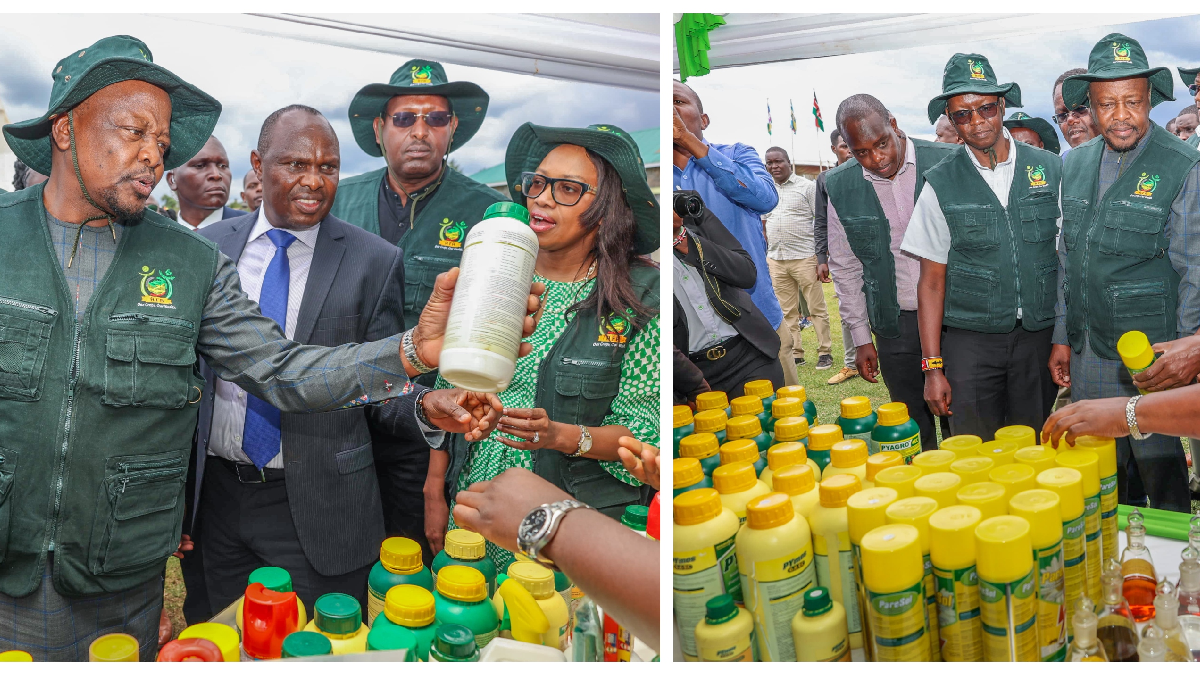 Gov’t bans over 50 harmful pesticide brands, unveils major pyrethrum revival plan
