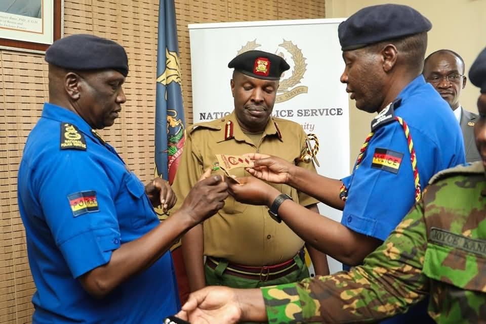 Return of AP? NGAPU now fully operational with appointment of its Commandant