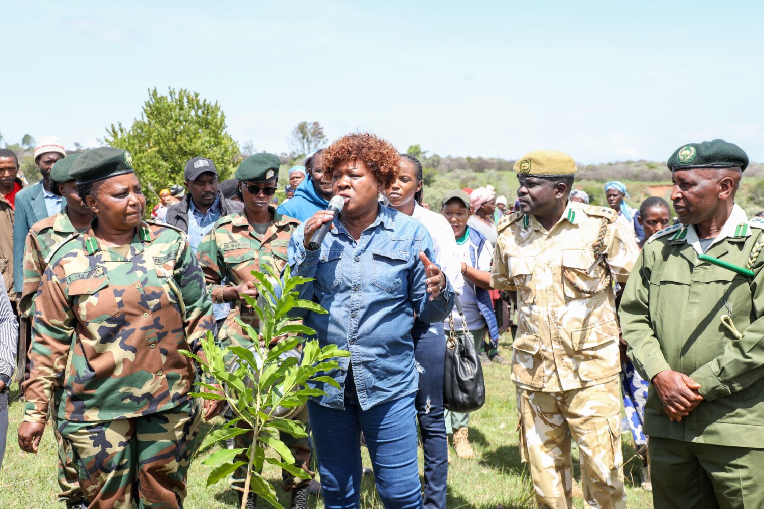 Lands CS Wahome leads tree planting exercise in Nyeri