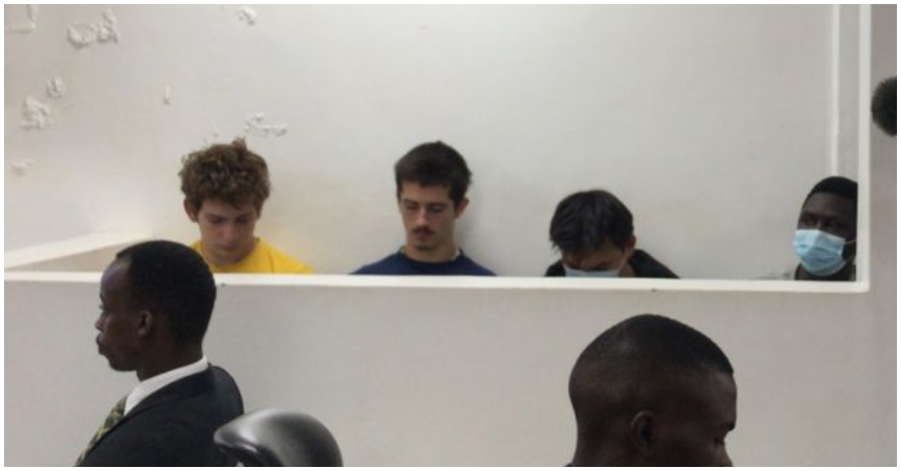 Four individuals fined Ksh 1 Million each for attempted smuggling of Queen Ants