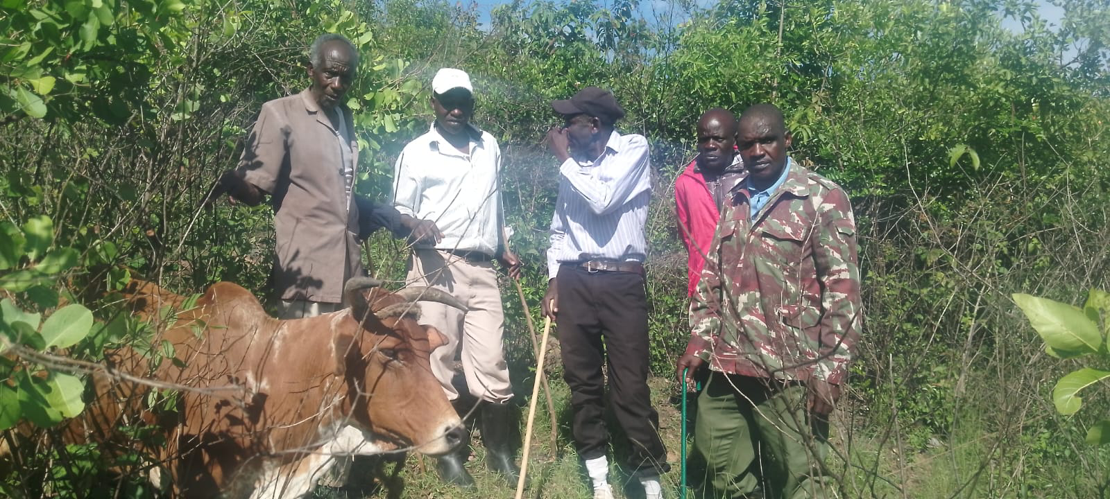 One killed in deadly Nyakach cattle raid; police recover stolen livestock