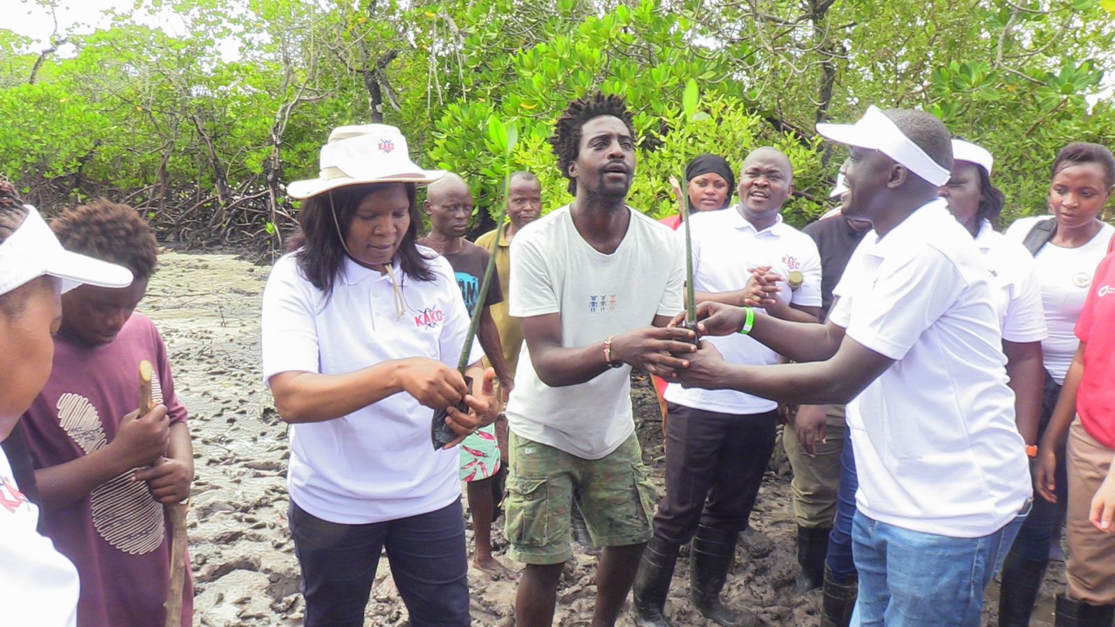 Mida Creek mangrove restoration gets boost from agencies