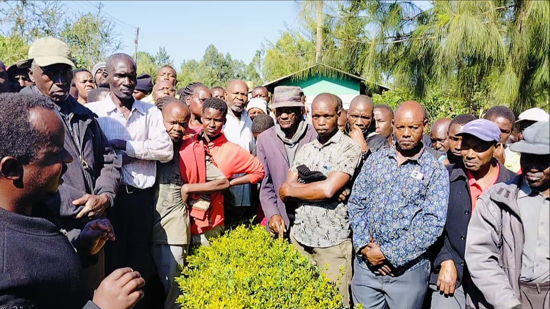 Families demand report on murder of two night guards in Kericho