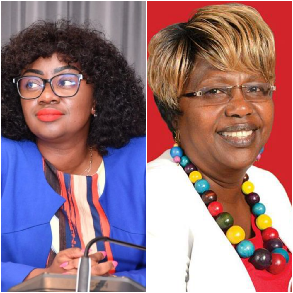 EXCLUSIVE: UDA fallout? Senator Orwoba, MP Kihara speak out on party’s broken promises