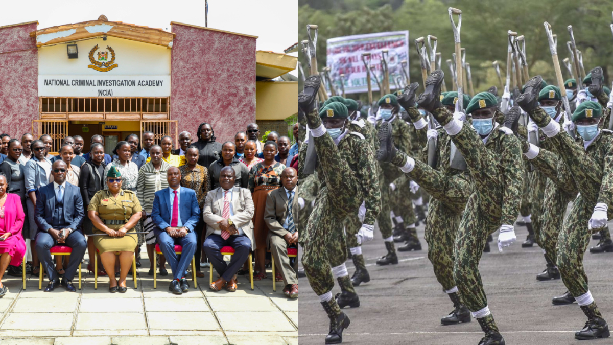 Doors opened for NYS officers to engage in basic crime investigations