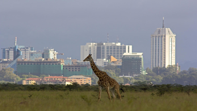 Inclusive and sustainable cities key for urbanization growth