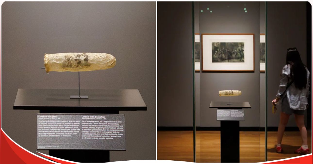 Museum displays a 200 year-old condom says it is in perfect condition