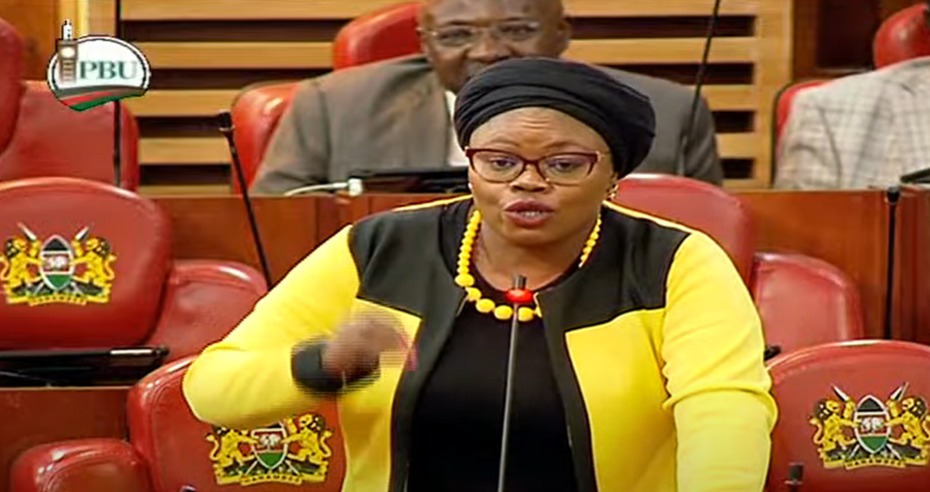 Wamuchomba’s yellow attire sparks exchange in Parliament