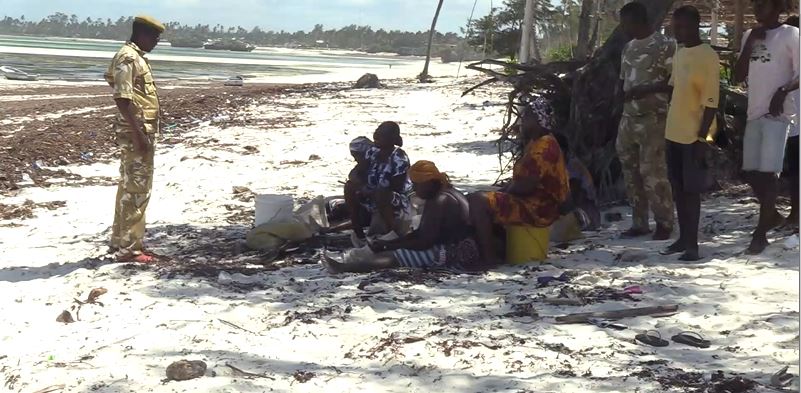KWS intensify efforts to eradicate Indian crows in Watamu