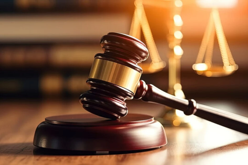 Two slapped with 7-year jail term for possession of 12 elephant tusks