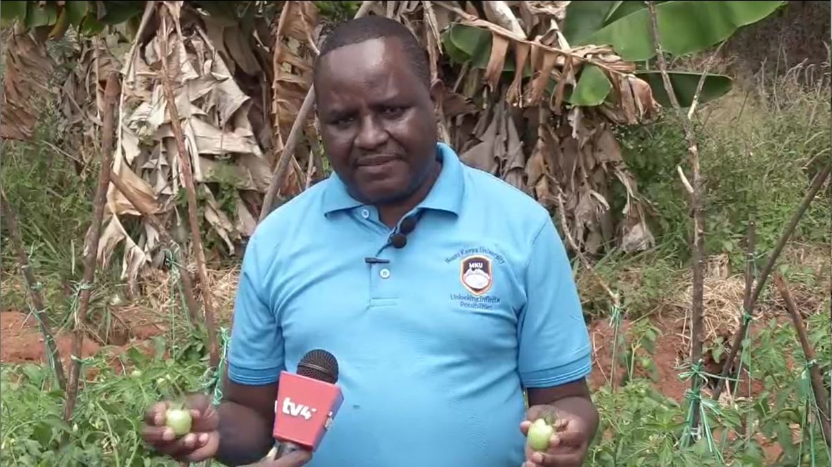 Farmers urged to adopt biological pesticides in climate change mitigation drive