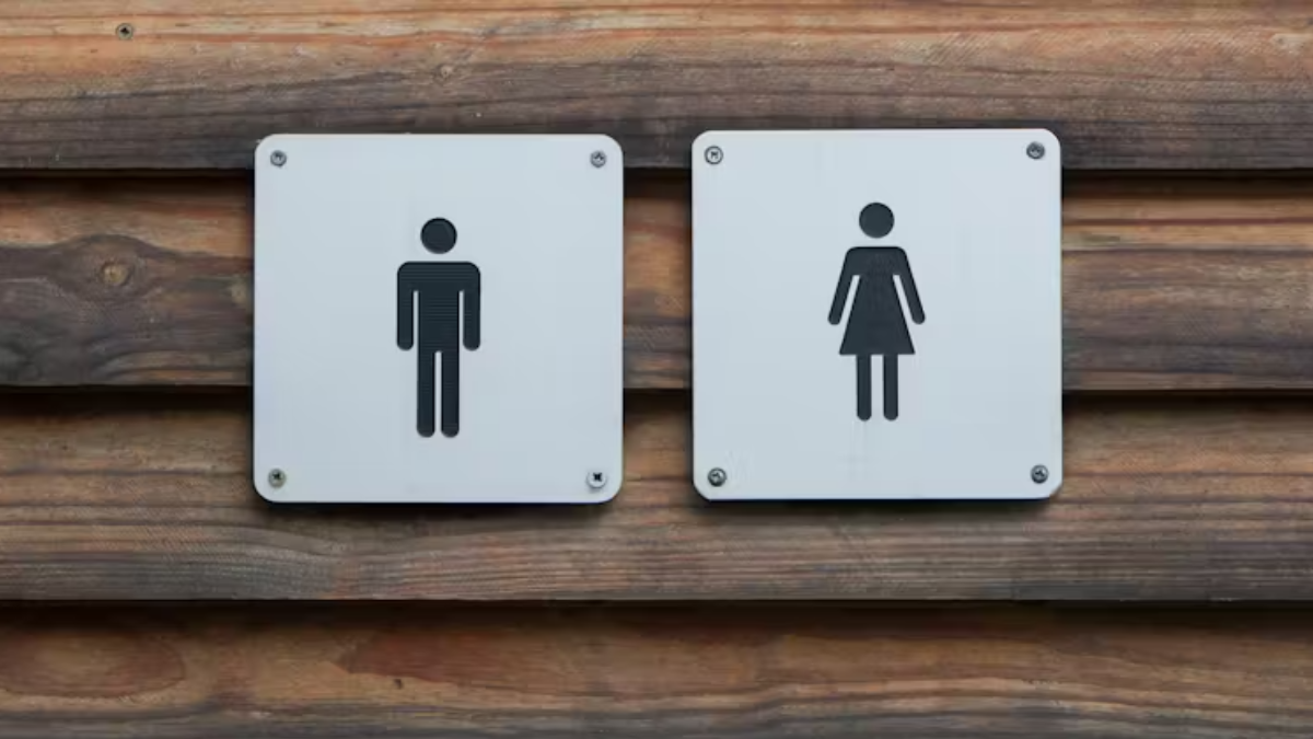 Do women have to pee more often? The answer is surprisingly complex