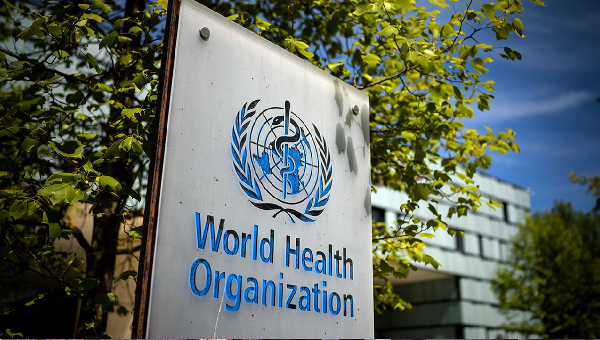 WHO condemns Israeli raid on Gaza residence and warehouse